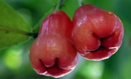 金牛座2021下半年感情运