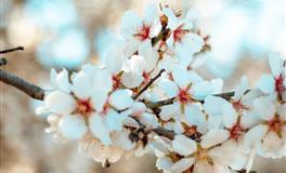 李云天塔罗牌2021年11月天蝎座运势