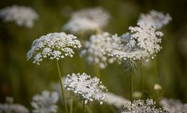 李云天：2022年属马人运势会逆流直上