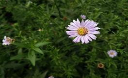 当工作上遇到阻力时，水瓶座又会如何发挥自己的意志力呢？