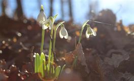 董易林生肖马2022壬寅虎年六月运程