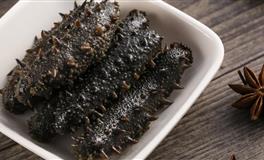 占星骑士处女座一周职场运势（10.18-10.24）