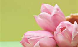 娜迪亚天秤座本周运势 10.18-10.24