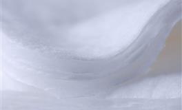 郑博士生肖鸡2021年11月财运