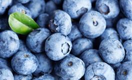 董易林生肖马2022壬寅虎年财富运