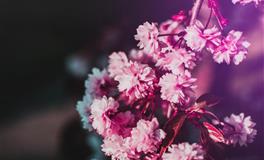 塔罗牌：TA是个在感情里很纯粹认真的人么？