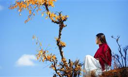 Pandora占星小巫狮子座一周运势（11.12-11.18）