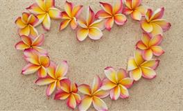 12星座容易成为哪种恐怖情人？