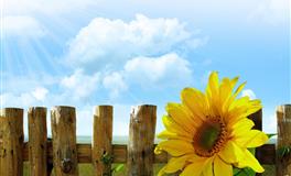 玛法达双子座一周运势（11.10-11.16）