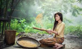 佩妮金牛座每周占星运势11.1-11.7