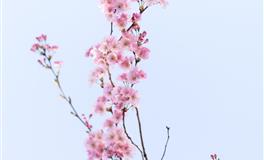 玛法达天蝎座一周运势（11.3-11.9）