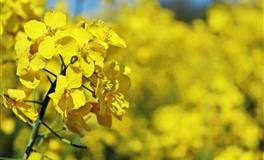 展钰凝魔羯座一周运势(11.22-11.29)