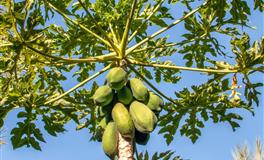 狂月天时金牛座一周运势11.8-11.14