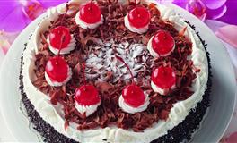 佩妮天秤座每周占星运势11.1-11.7