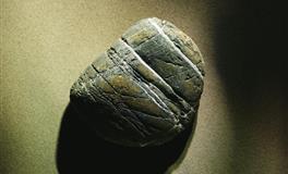 善于装傻，看似很好欺负，其实却是最不敢惹的三大星座，莫要招惹