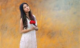 金牛座的人气指数