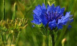 最受宠爱的3个星座女，一漂亮温柔，二气质好有魅力，三最会撒娇