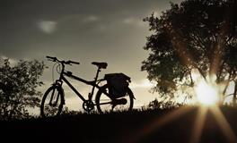 在感情中总是吃亏的星座，一味地付出，总是降低自己的原则