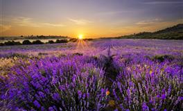 为人专一，对爱情负责到底的4个星座，长情值得托付！