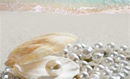 不鸣则已，一鸣惊人的星座