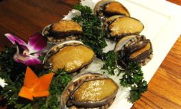 心直口快，有啥说啥的星座，坦坦荡荡，毫不遮掩