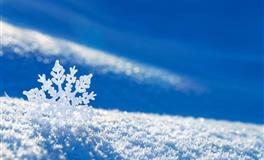 表里不一，喜欢隐藏自己真实样子的三大星座