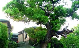 喜欢沾花惹草，总让你患得患失的三大星座男，有你恋的他吗？