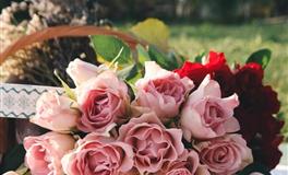 闹闹女巫店巨蟹座本周运势(12.6-12.12)