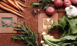 安妮2021-2022年魔羯座运势