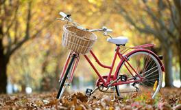 娜迪亚处女座本周运势（12.27-1.2）