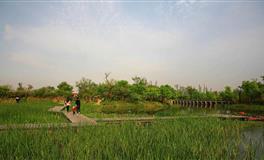 闹闹女巫店处女座本周运势(12.27-1.2)