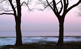 竹猫星球魔羯座一周塔罗运势（12.6-12.12）