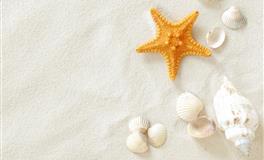 玛法达处女座一周运势（12.1-12.7）