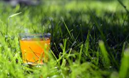 Lunita射手座一周运势(12.6– 12.12)