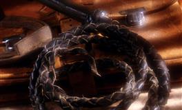 郑博士12生肖小人捣鬼每周预警（2021.12.27-2022.1.2)