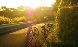 玛法达白羊座一周运势（12.1-12.7）