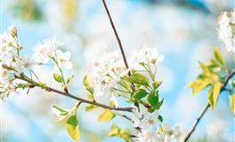 Taylor Moon2022年星座运势