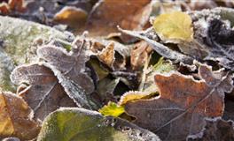 Lunita射手座一周运势(12.13– 12.19)