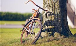 羲邑师姐生肖马一周运势(1.10-1.16)