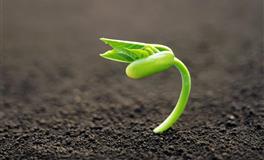 天生受宠的三大星座，咋也舍不得骂