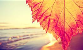 谈吐风趣，能逗人开心的四大星座