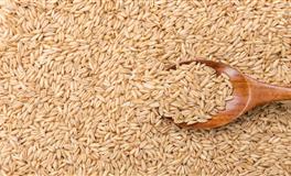 面慈相和，但狠起心来，会不择手段的星座，服软不代表好欺负