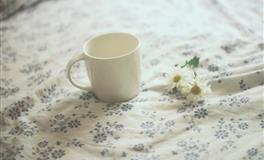 这些星座毅力不够，做事三分钟热度，花花世界之下，常常难以坚持