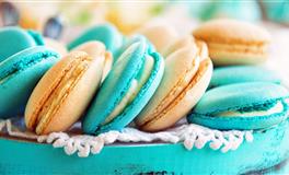 太傻太天真！感情里总是受伤的星座