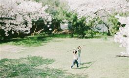 杀破狼巨蟹座一周运势(1.17-1.23)