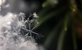 展钰凝处女座一周运势（1.31-2.6)