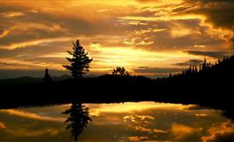 Lunita水瓶座一周运势(1.3-1.9)