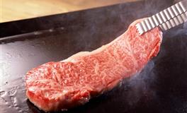 凯利.福克斯金牛座2022年1月运势