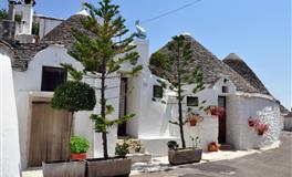 闹闹女巫店2022年1月星座运势