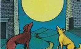 爱莎公主天秤座一周运势（2.7-2.13）